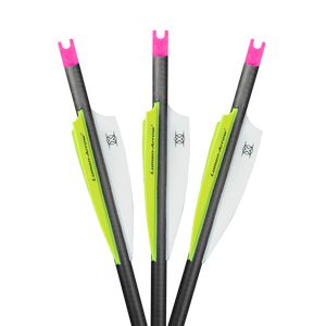 BCAP -- Lumen-Arrow Capture Crossbow Bolts (20")