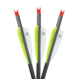 BCAP -- Lumen-Arrow Capture Crossbow Bolts (20")