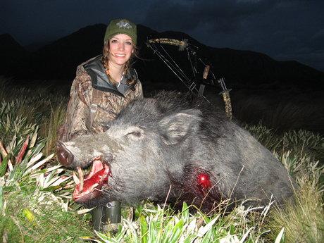 Welcome To The New Lumenok Blog