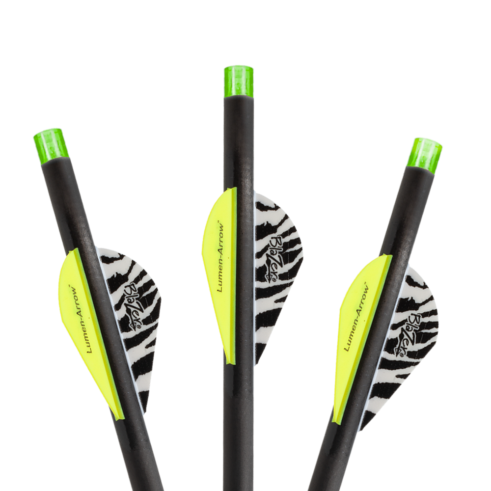 Crossbow bolts discount